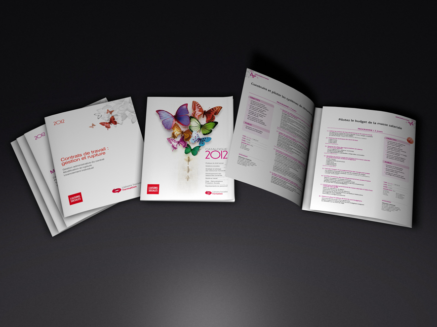 Catalogues formation Lamy sociale