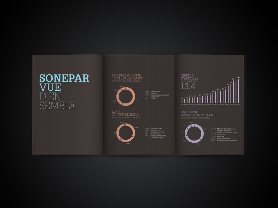 Création Rapport d'activité SONEPAR